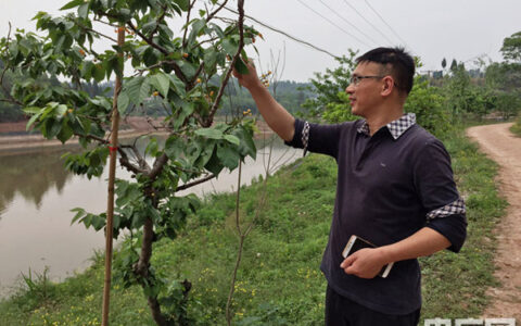 [走，回家创业！]一场生态循环农业的试验