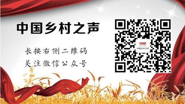 漫谈|农业创业项目想融资需要注意啥？