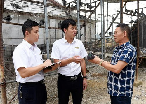 普惠金融助力回乡创业肉鸽养殖