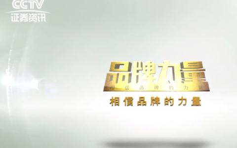 南方网通CEO费勇做客CCTV证券资讯频道《品牌力量》
