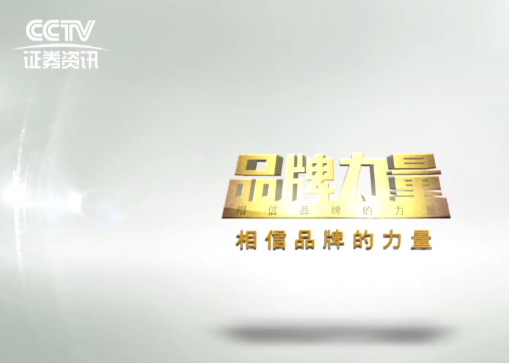 南方网通CEO费勇做客CCTV证券资讯频道《品牌力量》