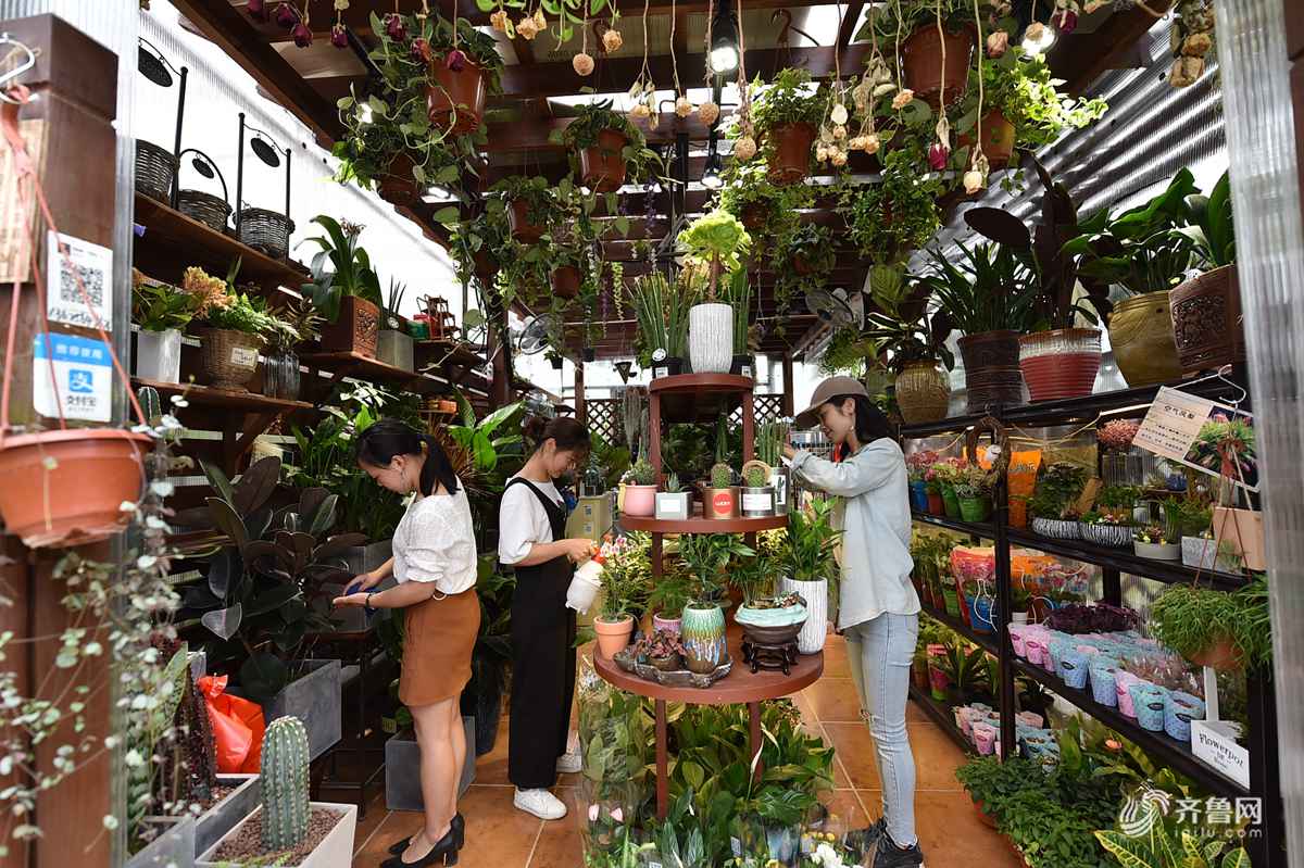 致敬劳动者！ 看他们如何用兴趣开启创业之路