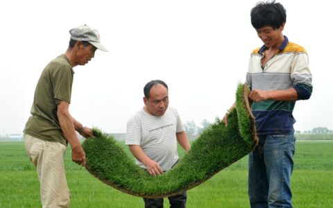 草里淘“金”闯出创业路