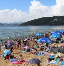 就业还是创业？毕业生如何选择？