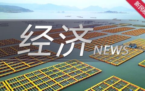 创业板曾经“一哥”乐视网退市了