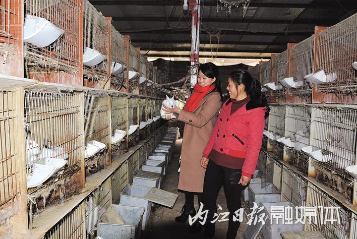 回家工程：打响返乡创业内江品牌