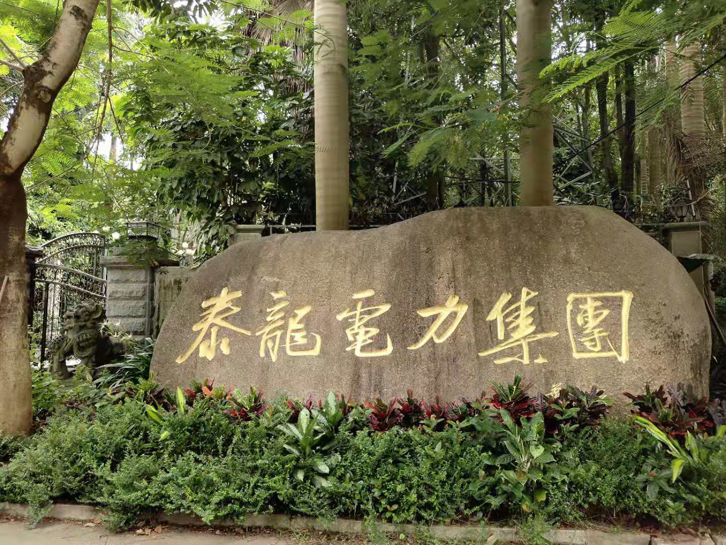 福建泰龙电力董事长叶跃松：企业发展不忘创业初心