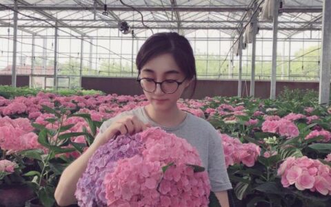 “90后”花房姑娘返乡创业种出“致富花”