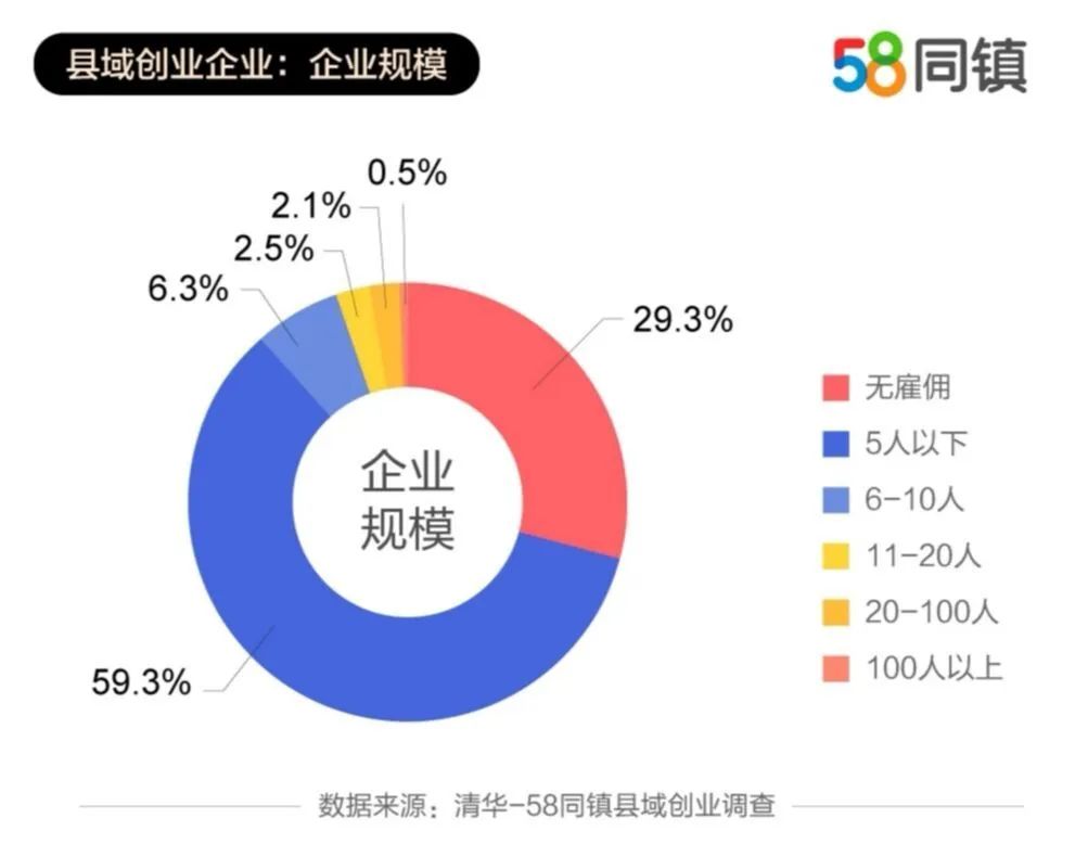 告别白领！返乡做个“李子柒”！大学生返乡创业创新高！
