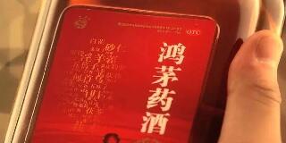 第二届粤港澳大湾区大学生创新创业项目对接洽谈活动正式启动