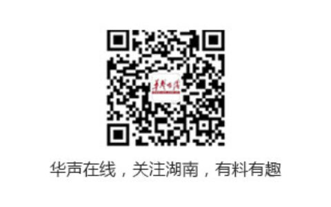 【脱贫攻坚在行动】青年返乡创业不忘乡亲 积极参与当地脱贫攻坚