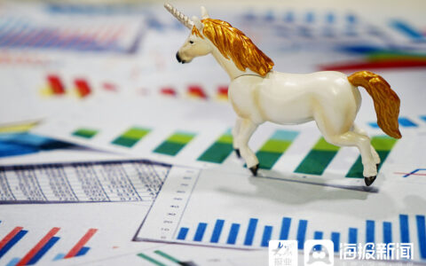 烟台税务：税惠支持稳落地 创业创新添动力