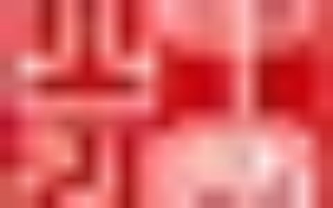 洪雅县“雅连”品牌创业展示获好评