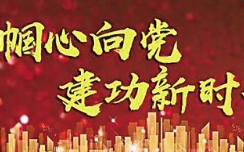 村妇返乡创业种菊花 带领800多户农民致富