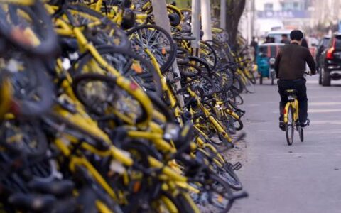 创业成功率仅为5%？如何找到合适投资人？活下来！