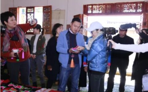 联合国开发计划署全球亲善大使杨紫琼赴牟定县探访青年创业公益项目