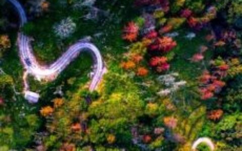 第十一届海峡论坛·“泉台青年交流汇” 近200名两岸创业青年分享