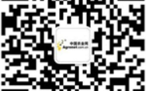 重庆搭建乡村振兴创新创业平台,农业资讯,中国农业网新闻频道