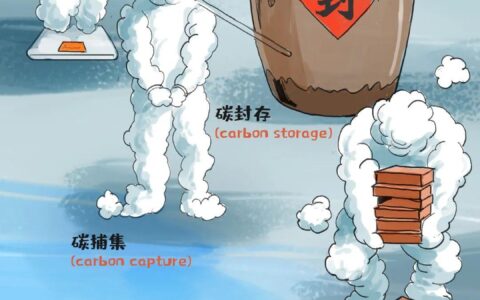 碳中和：给地球 “退烧” 的搞笑指南，看完我先笑出三斤二氧化碳