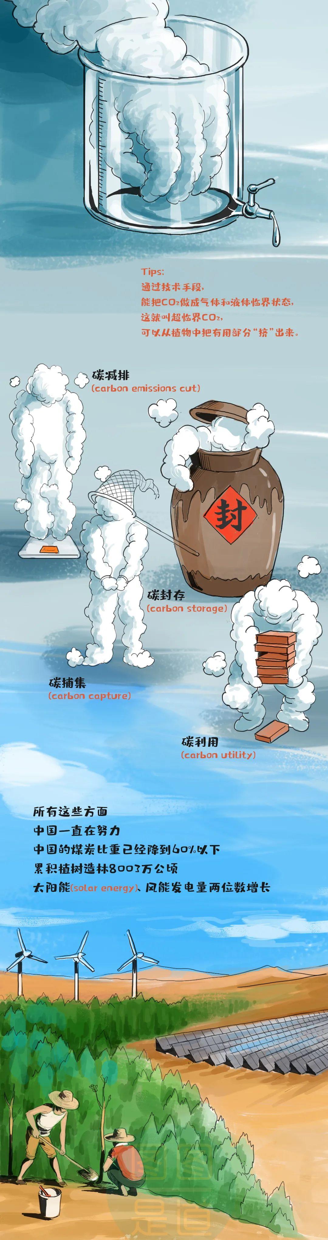 碳中和：给地球 “退烧” 的搞笑指南，看完我先笑出三斤二氧化碳