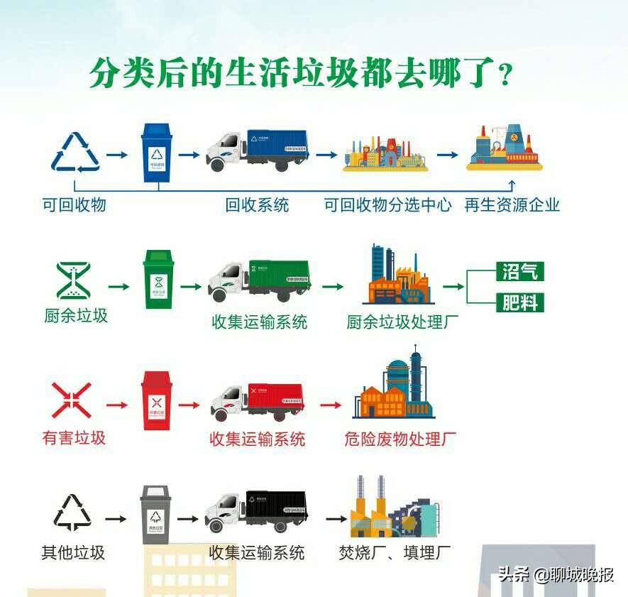 垃圾分一分，生活美十分：解锁身边的环保必修课