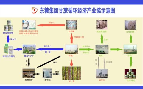 循环经济：把 “废品” 玩出花，钱包和地球都乐开花