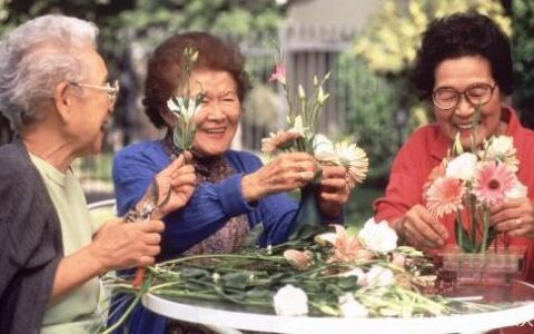温情守护暮年：养老生活的多元支撑与日常关怀