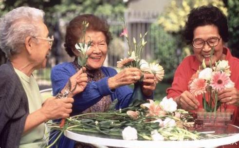 温情守护暮年：养老生活的多元支撑与日常关怀