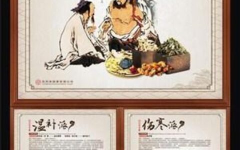 岐黄之术里的生命智慧：藏在生活里的中医密码