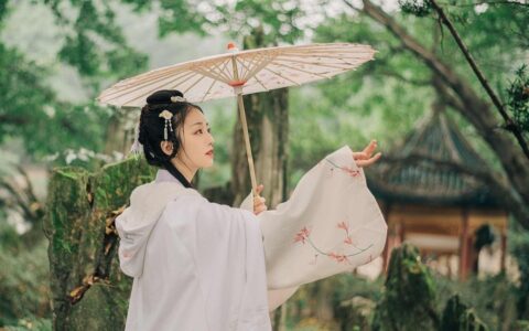 文化：人类文明的精神密码
