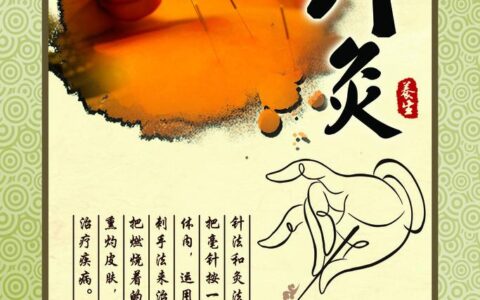 针灸：传统医学体系中的诊疗智慧