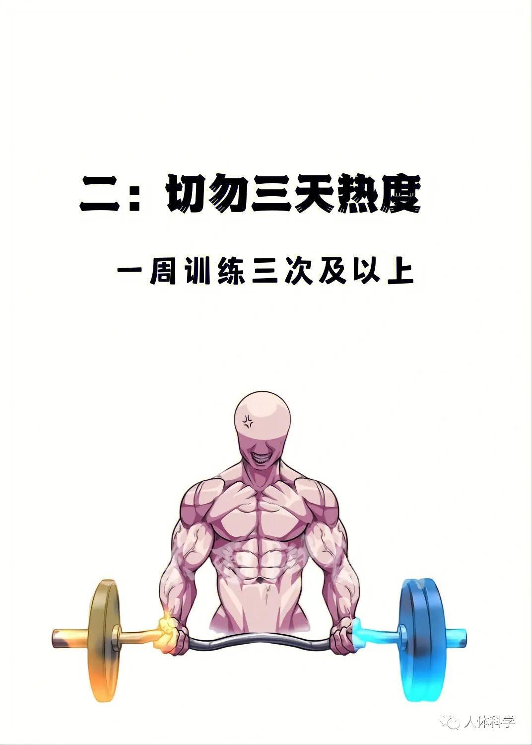 科学健身：解锁身体潜能的实用指南