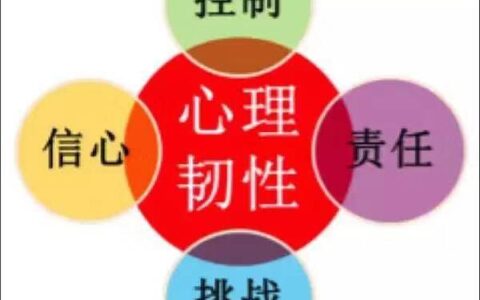 心理韧性：困境中重构心灵的力量