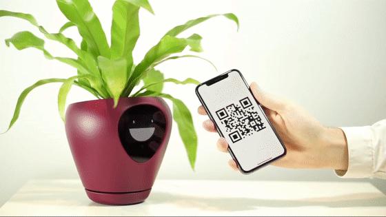 万物低语：物联网编织的诗意生活网