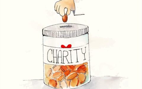 慈善：点亮人间温暖的微光