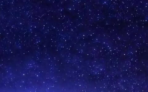 星光下的奔赴：粉丝经济里藏着的千万颗炽热真心