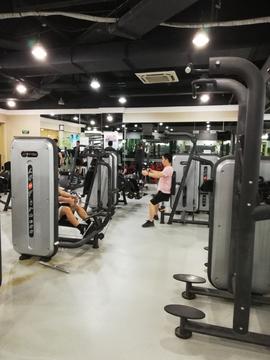 汗水织就的日常：那些藏在健身房与晨光里的故事
