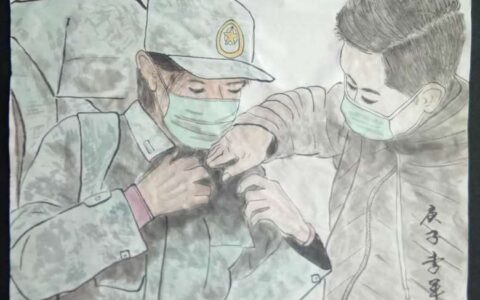 白色战袍下的温柔：那些藏在病房里的生命微光