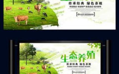 畜牧产业：筑牢民生根基与探索绿色发展新路径