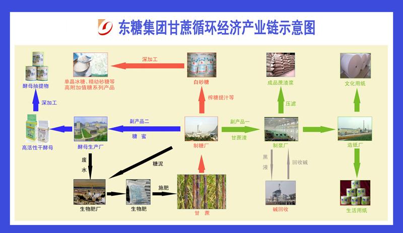 从 “用完即弃” 到 “循环再生”：解锁经济与环境共生的新密码