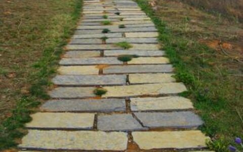 石板路上的风与光：一场跨越滇西的慢旅行