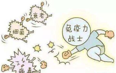 免疫防线：解码人体与疾病的攻防战