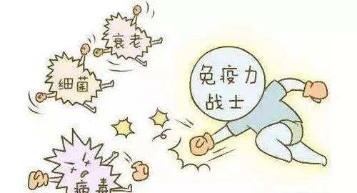 免疫防线：解码人体与疾病的攻防战