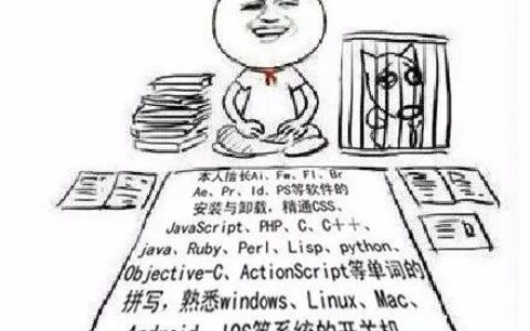 敲代码的那些日子：从 bug 堆里长出的产品梦