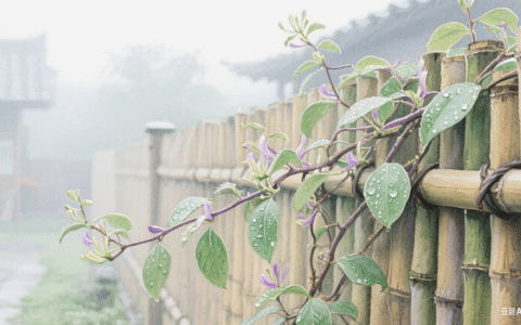 草木织就的光阴诗行