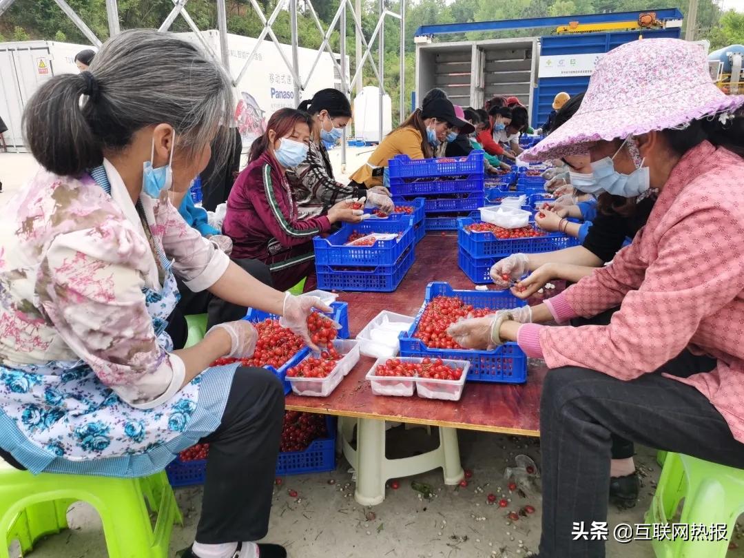 冷链里的烟火气：那些藏在低温里的生活答案