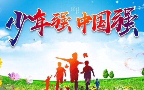 生长的力量：素质教育如何滋养完整的人