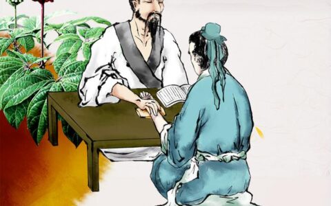 草木含真意：中医里的生命智慧与传承