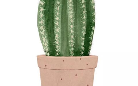 植物：地球生命系统的沉默构建者