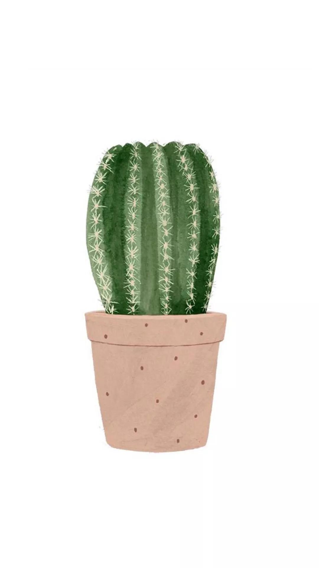 植物：地球生命系统的沉默构建者